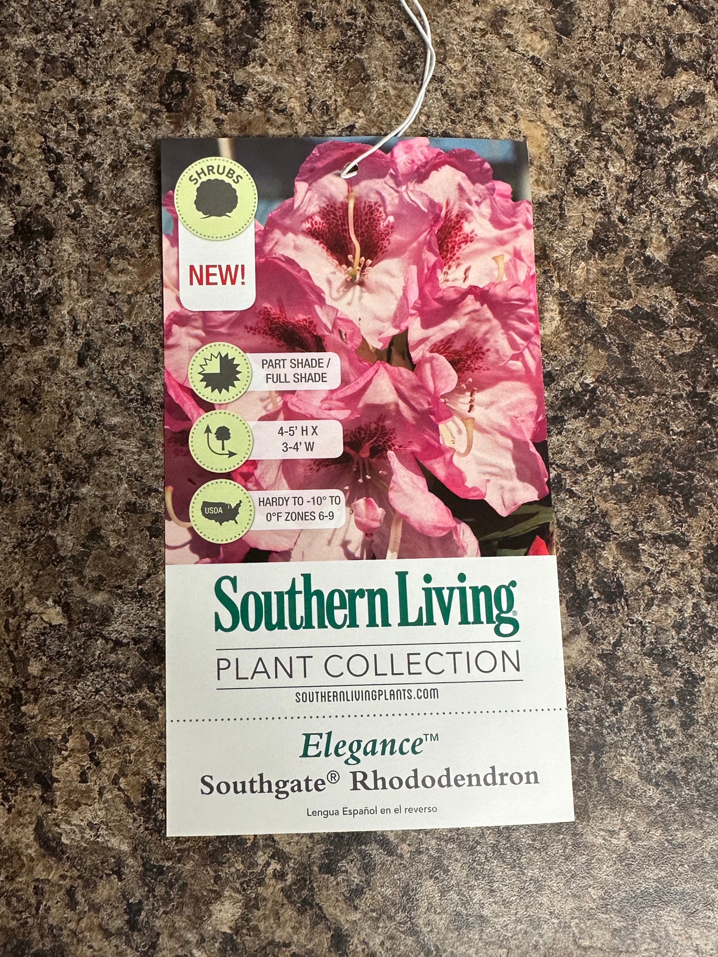 Southern Living® Elegance™ Southgate® Rhododendron 'Fair City